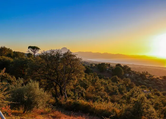 Rapputi 拉斯卡里